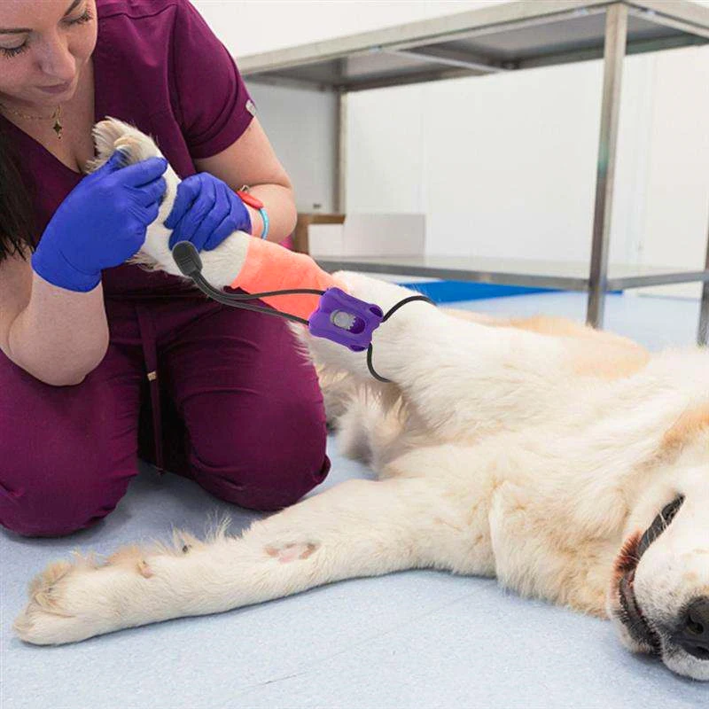 Pet Tourniquet Plastic for Animal Pulse Pressure