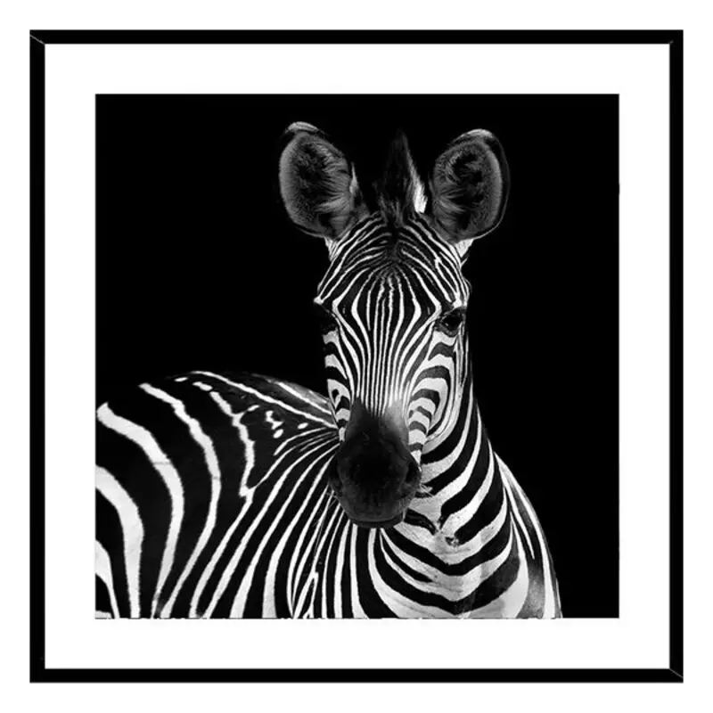 Painting Zebra Crystal (2 x 50 cm) | Дом и сад