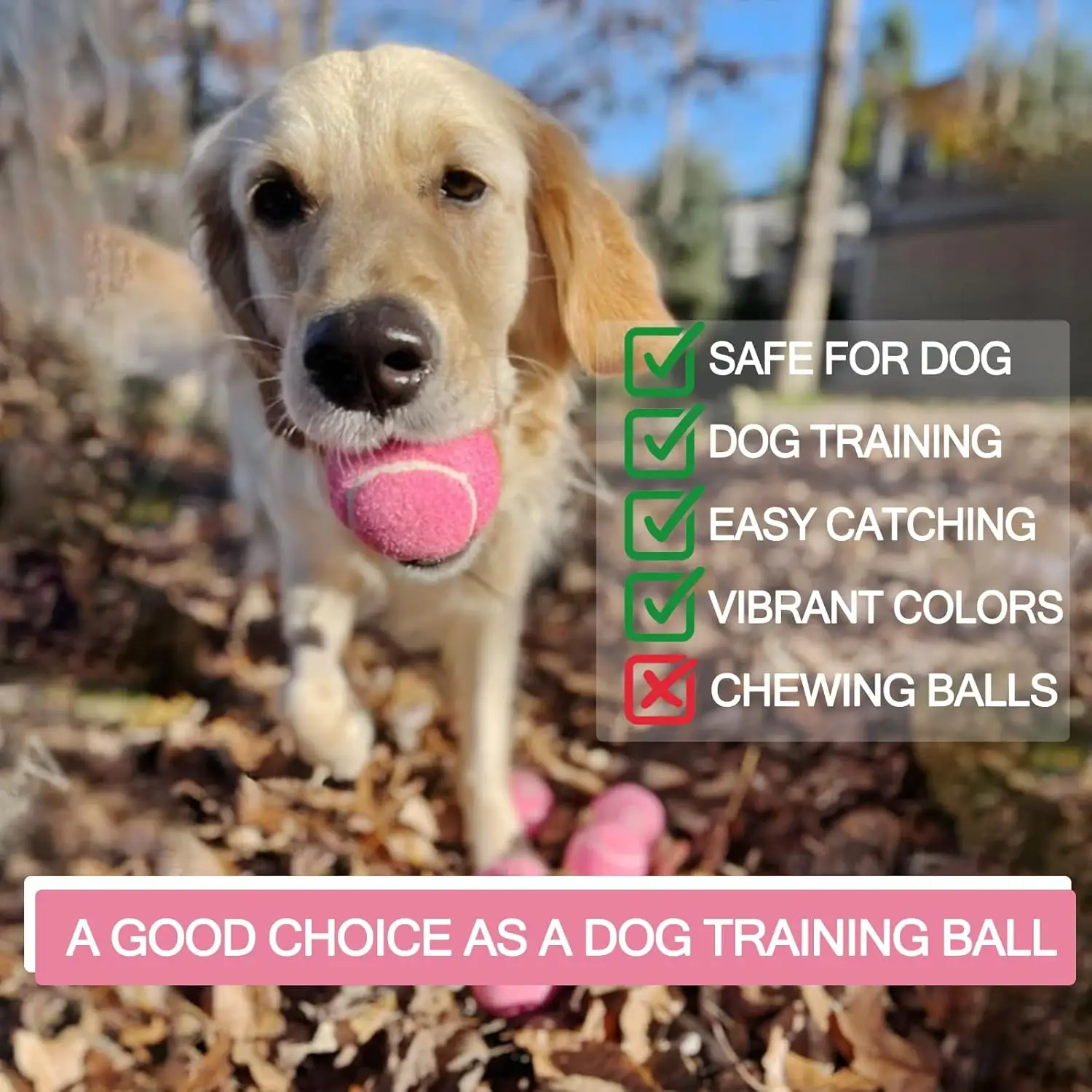 12 Pack Tennis Balls,Training Tennis Balls,Pet Dog Playing Balls, Practice Balls with Mesh Bag for Beginner Train