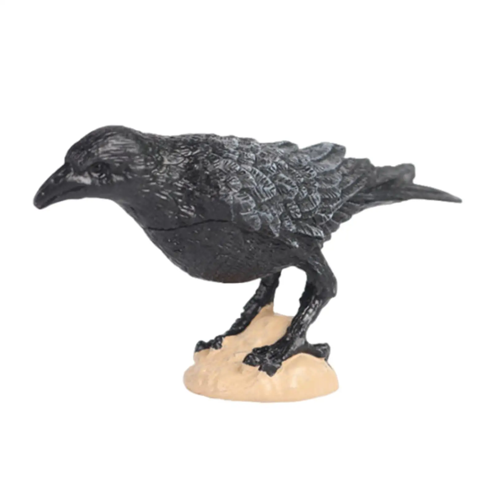 Raven Bird Figurine Home Decor Figurine Di Pappagalli Giocattolo Per Puntelli Fotografici Micro Landscape Bath Toys Sussidi Didattici Paesaggistica Fa
