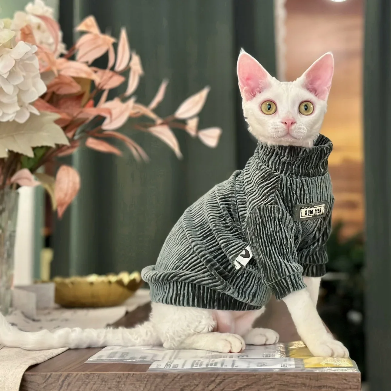 

Plush Velvet Sphinx Hairless Cat Clothes, Winter Pet Clothes, Devon Rex Cat Clothing, Autumn