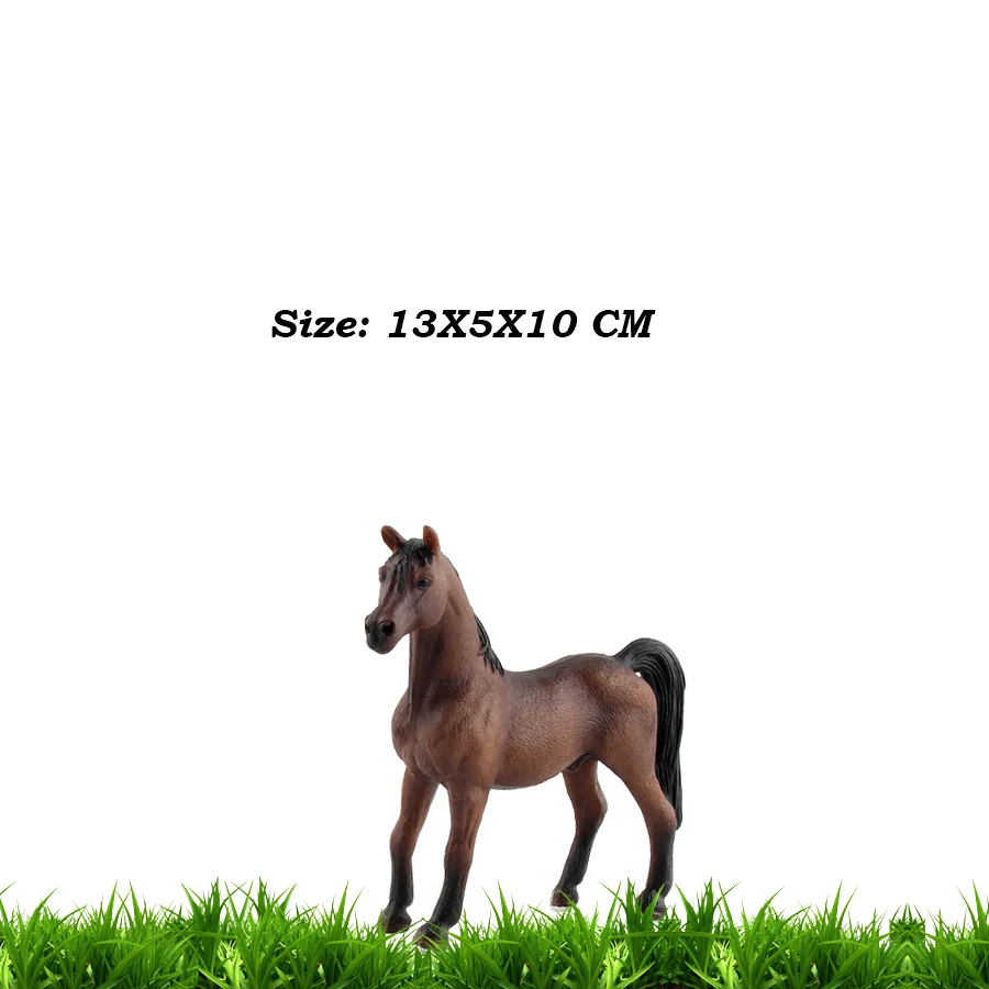 Hanover Stallion B