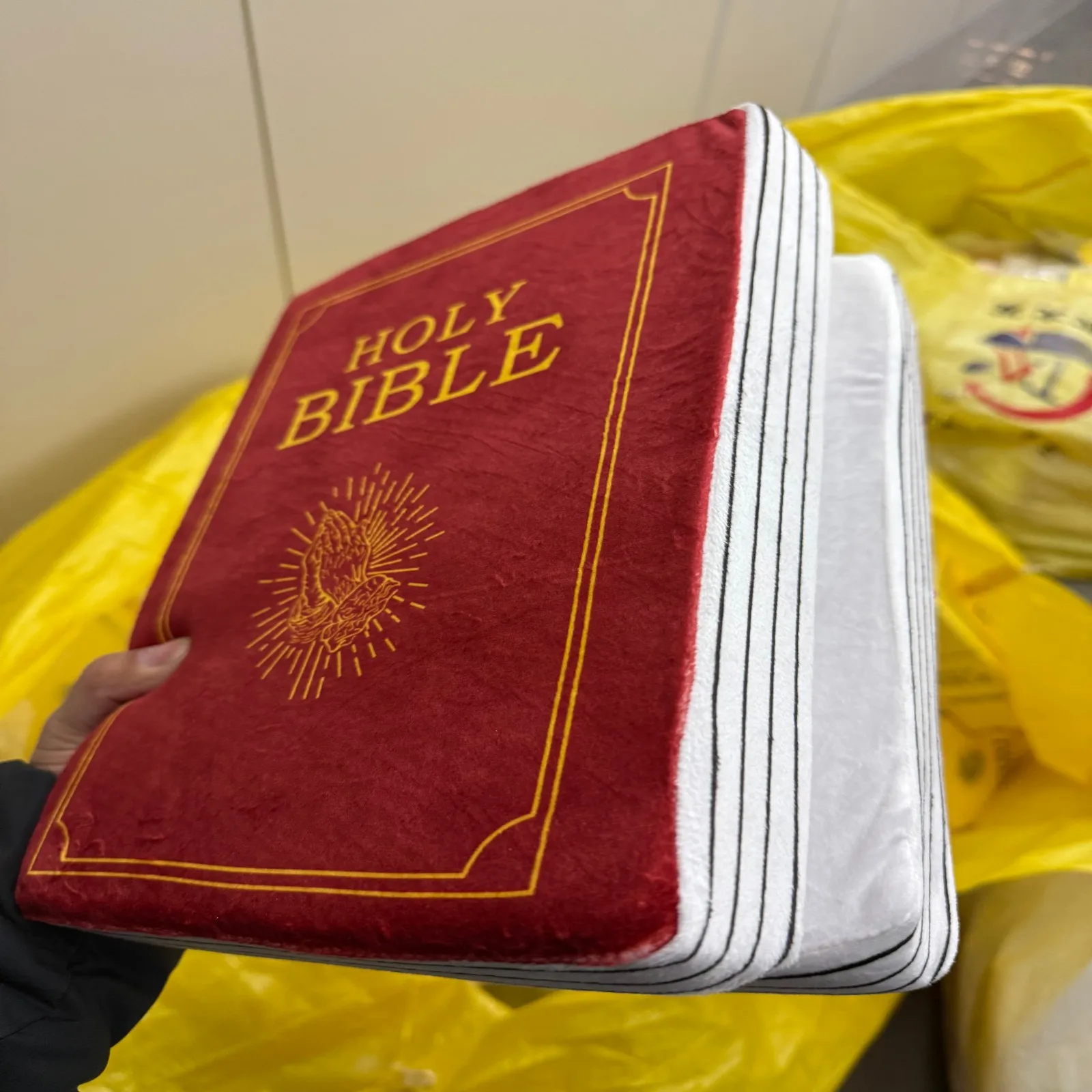 Matthew 6 Bible Plush Throw Pillow Toy with holly bible pillow that opens christian bible book Pillow with Best Christian Gifts