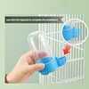 Hanging Pet Feeder Squirrel Parrot Water Dispenser 5