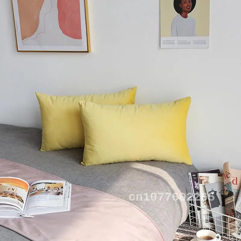 

Super Soft Cushion Cover Velvet Pillow Cover For Sofa Living Room Housse De Coussin 30x50cm Decorative Pillows Nordic Decoration