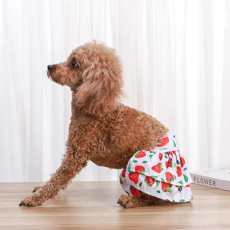 Waterproof Polyester Female Dogs Underwear Breathable Small Puppy Physiological Pants Velcro Strap Washable Girl Chihuahua Dress
