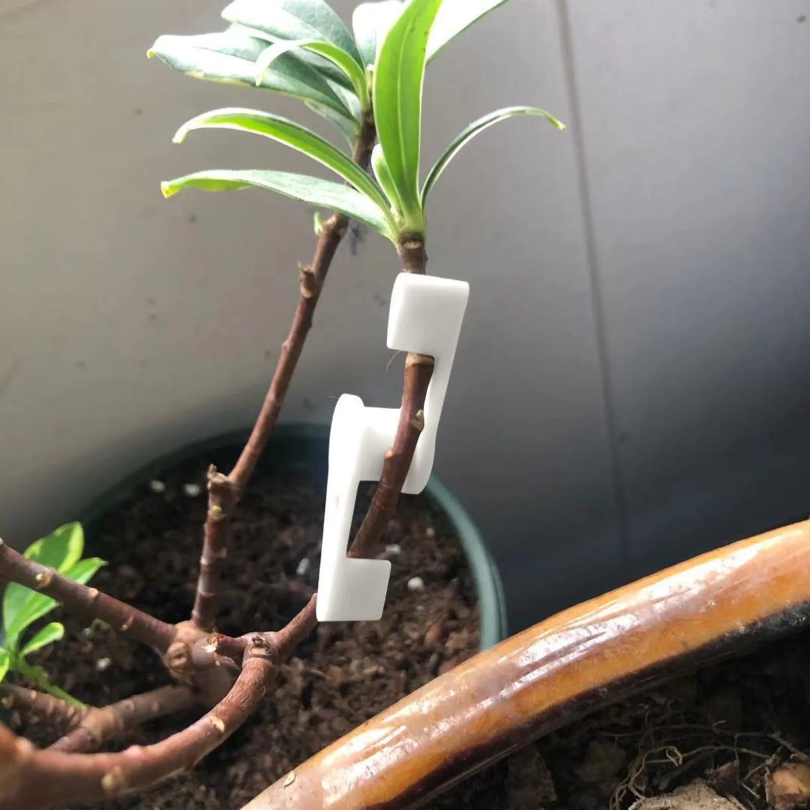 10pcs 360 Degrees Plant Branch Benders Adjustable Plant Supports Ixed Clips Planter Holder Tools Garden Supplies Bender plastic plant supports plant clips plant bender clips