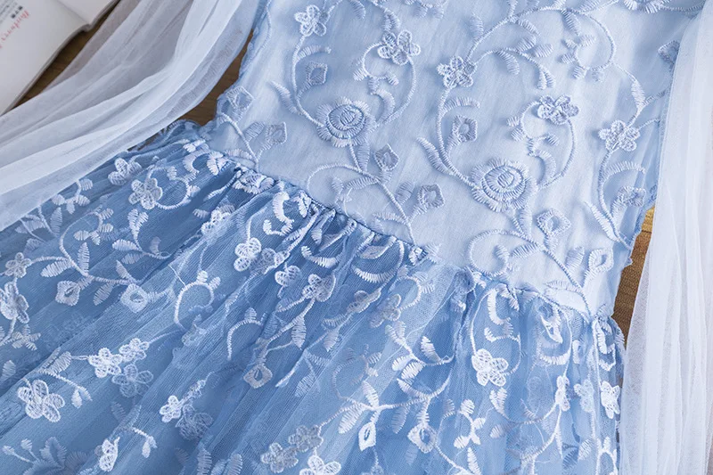 

Girl's long sleeved lace embroidered dress and floral children's clothing