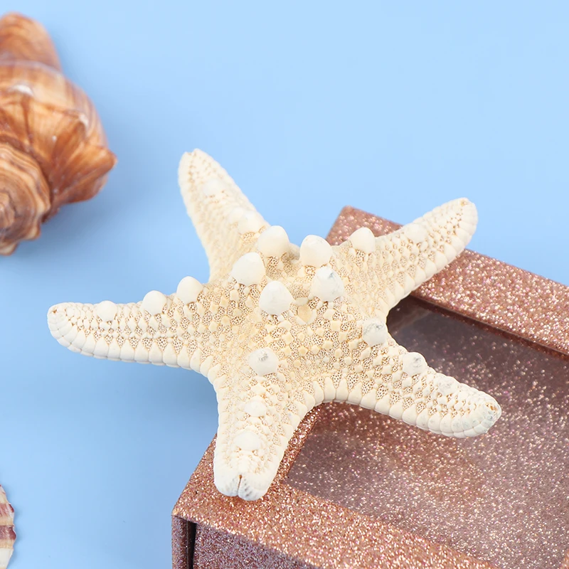 1pcs Starfish Crafts Decor Starfish DIY Shell Sea Fish Party Beige Decor