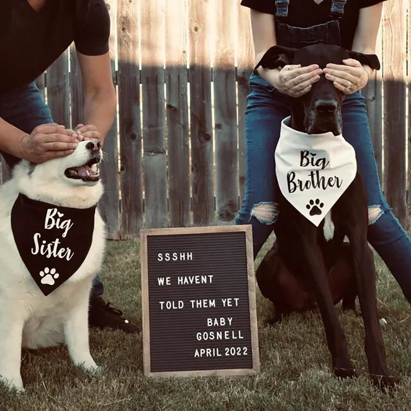 Big Sister/Brother In Training Dog Bandana | Pet Pregnancy Announcement Bandana For Dogs - Red Polyester (One Size)