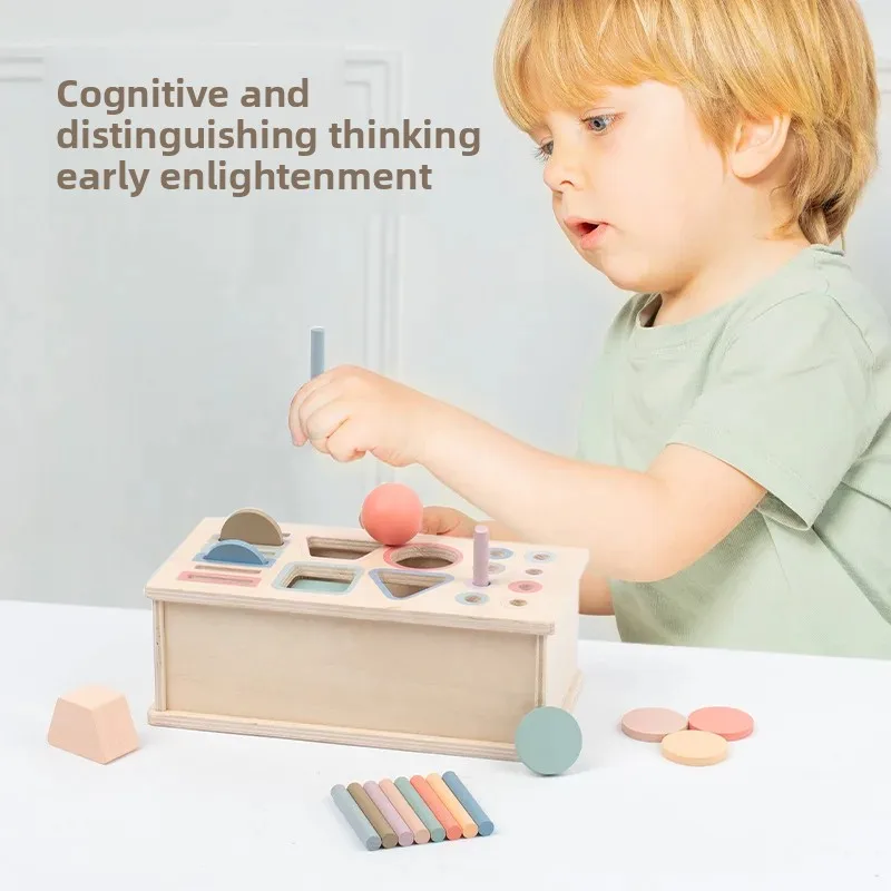 Wooden Color Shape Sorter 2