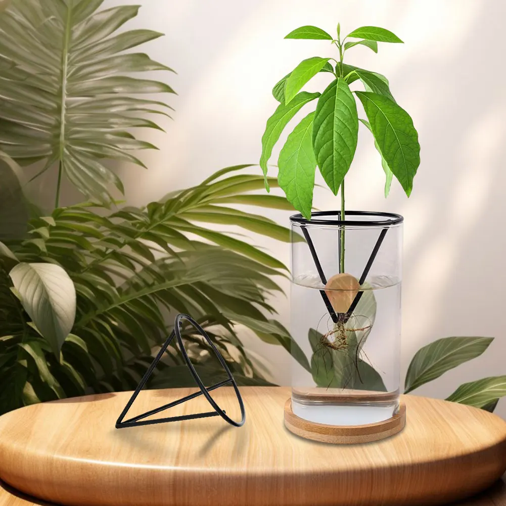 Avocado Seed Holder 4Pcs Triangular Metal Bracket Avocado Growing For Family Friends Gardening Enthusiasts