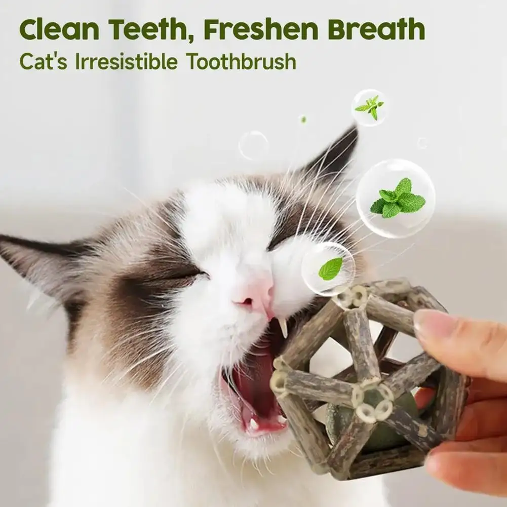 

1 шт., деревянные игрушки для кошек X4Y7