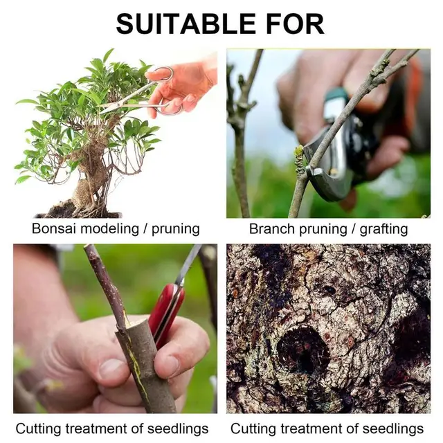 Fa Sebjavító Metsző Tömítés A Bonsai Ág Metszőhöz 500 G Sebgyógyító Paszta Kefével - Image 3