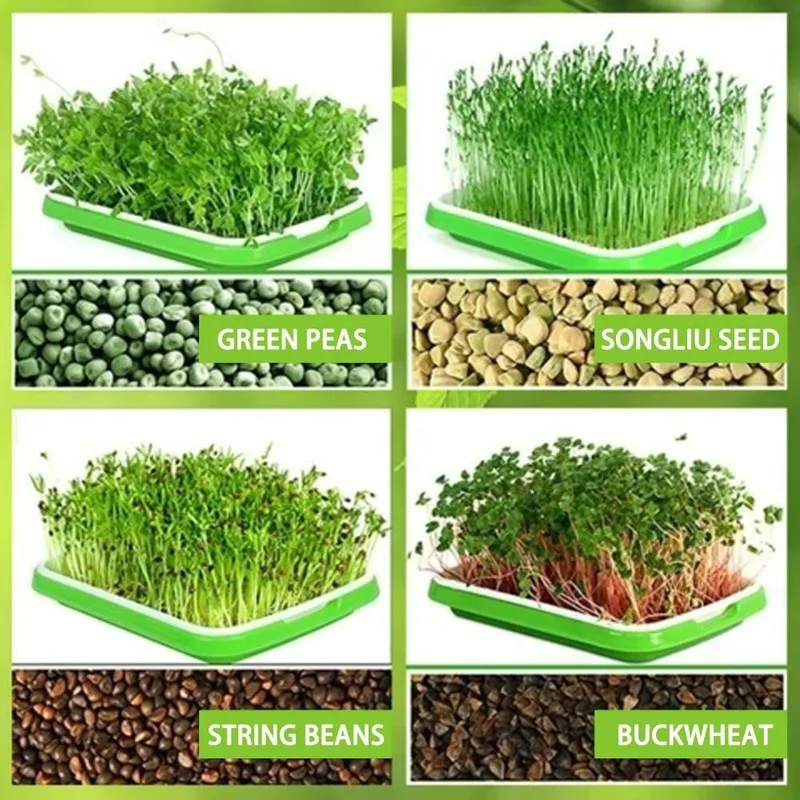 Plastic Hydroponic Planting Tray, Household Pea Seedling Planting Tray, Bean Sprouts Sprouting Pot, Gardening Supplies