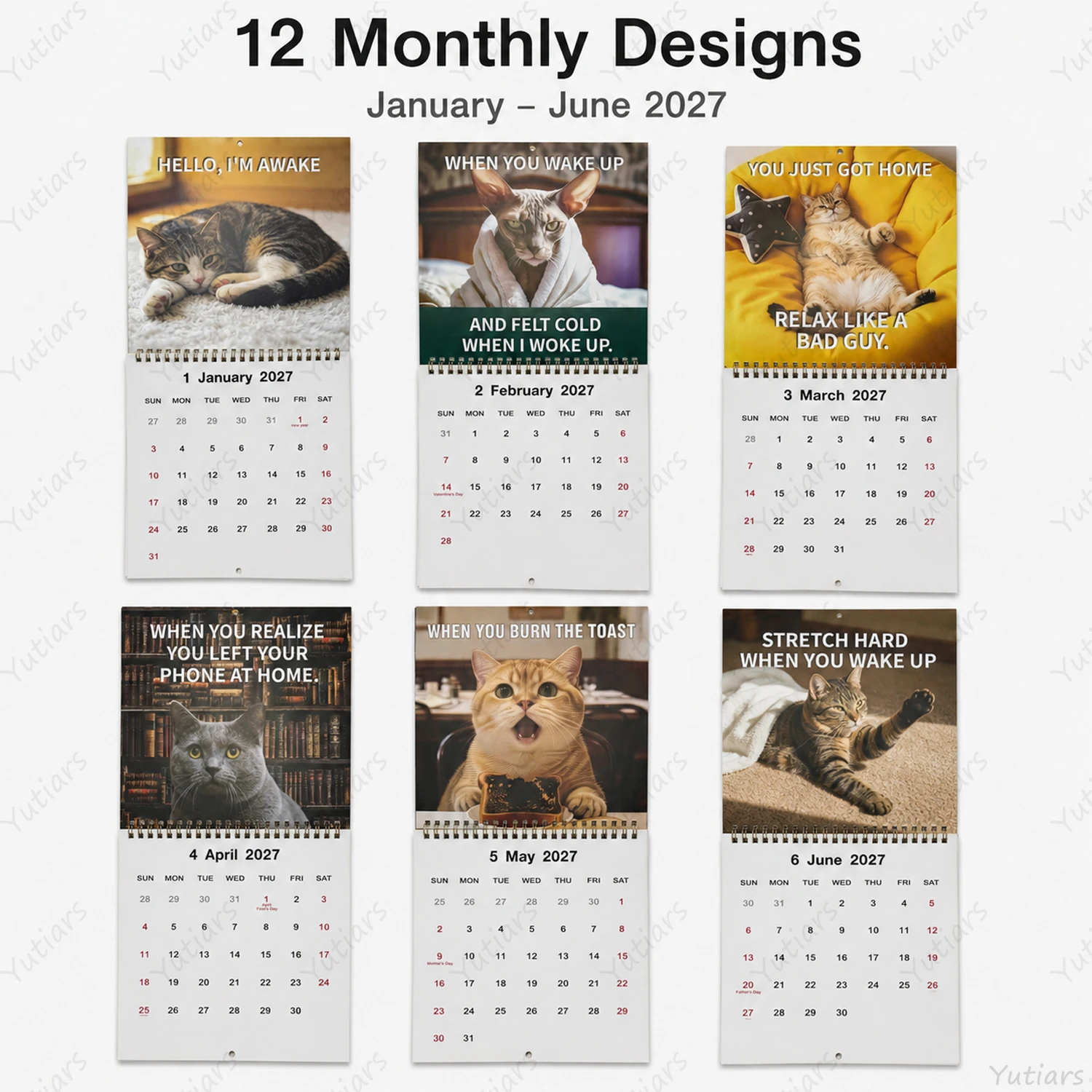 Charming Cat Wall Calendar: Funny & Cute Monthly Cat Photos