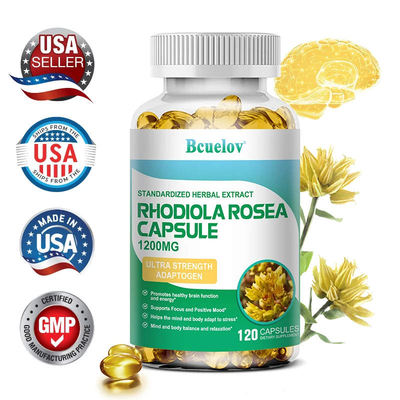 Rhodiola Rosea Capsules-Supports Concentration, Learning Memory and Focus, Promotes Healthy Brain Function