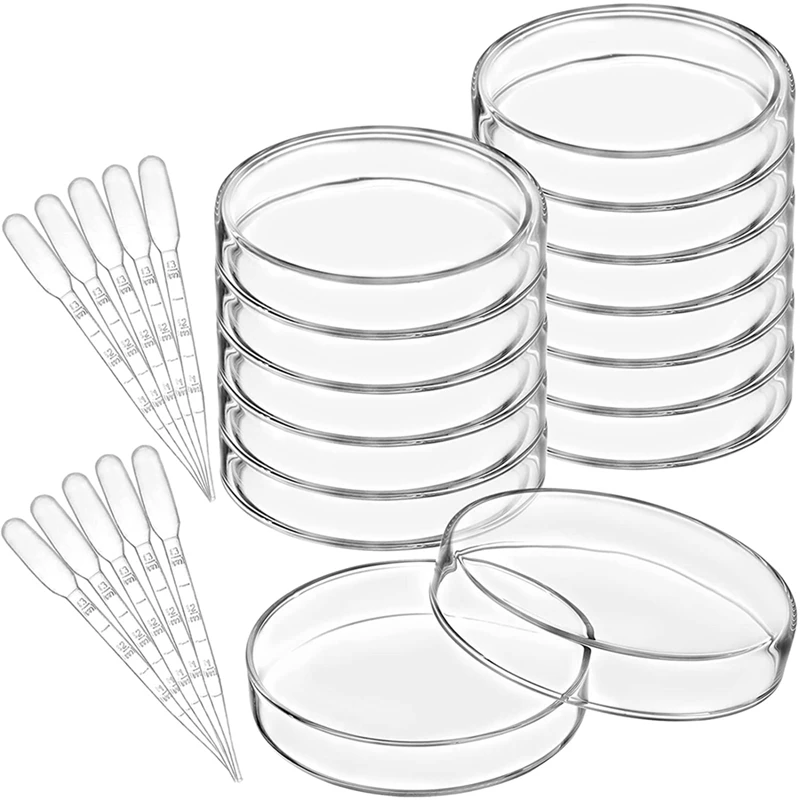 10 Pack Glass Petri Dishes With Lids And Plastic Transfer Pipettes, 100