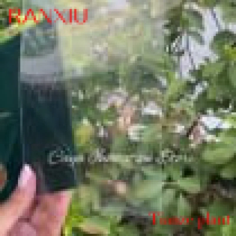

Custom custom printing green emerald velvet envelop acrylic card for rustic weddings