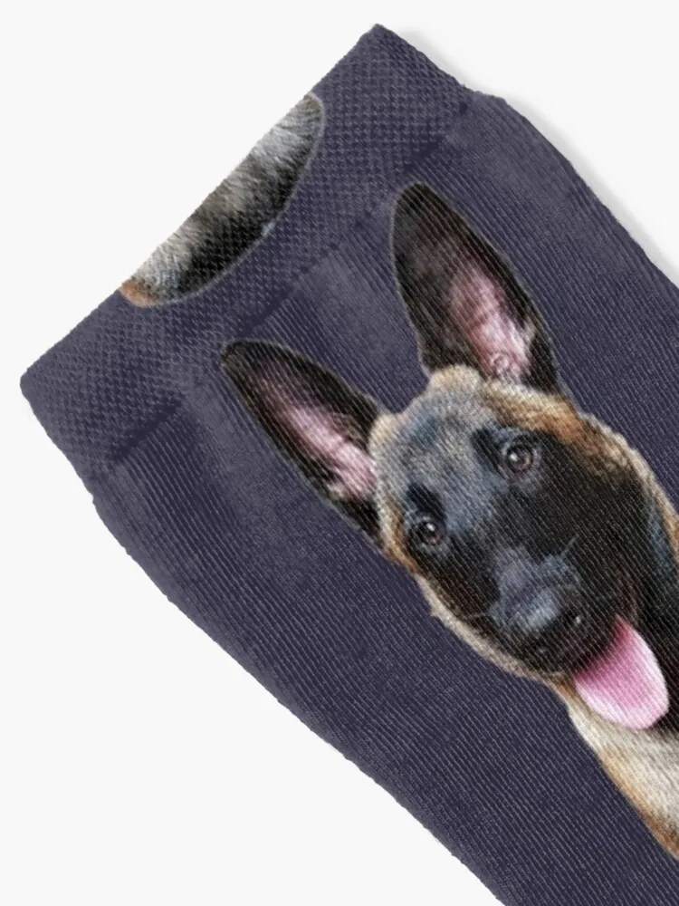 Belgian Malinois Puppy DogSocks Sport Socks Men Men'S Sock