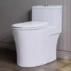 Elongated One Piece Toilet Matte White, ADA Toilet 17.3" with Comfort Chair Height Seat, 0.8/1.28 GPF Powerful Dual Flush 1