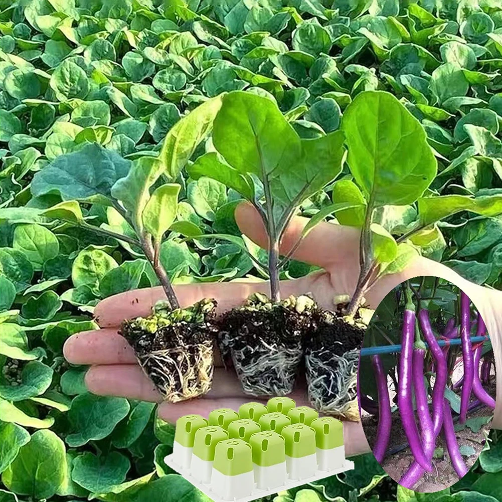 12 Holes Garden Nursery Seedling Dish Plastic Nursery Seedling Trays Seed Starter Trays Vegetable Pots Garden Supplies