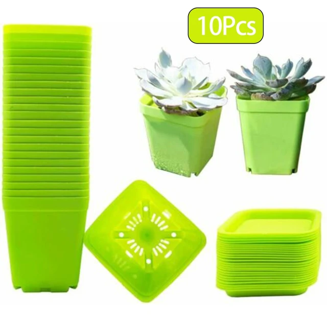 Pot de fleur succulent en plastique coloré, petit pot de semis, récipient  de pépinière carré, bassin 10x, 10 pièces - AliExpress