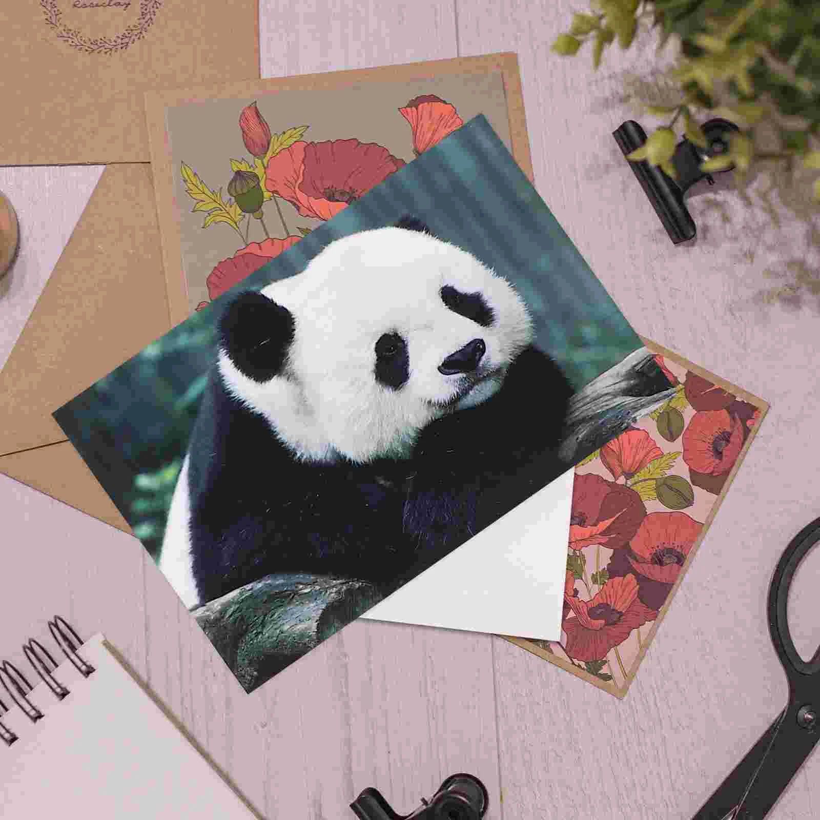 10pcs Adorable Pandas Postcards Animal Photography Series Postcard Great for Baby Showers Thanksgiving Gift