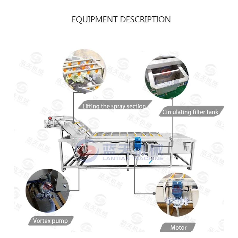 Automatic Okra Washing and Processing Machine Rape Spinach Lettuce Cabbage Bubble Washing Machine 3