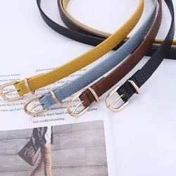 Fashion Women's Two-piece Needle Personalized Straw Mat Decorative Gold Buckle Belt Popularity