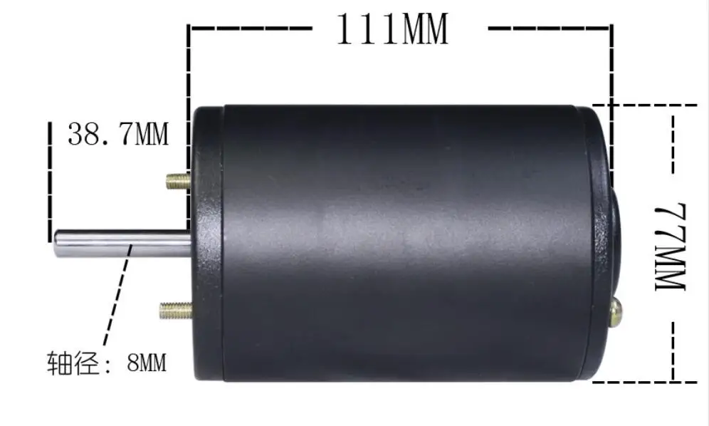 Escobillas De Carbón Rupes Para Lijadora Orbital SS70 | Repuesto Original 47,45 Mm | Paquete De 2 Unidades