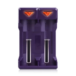 Dual - Slot USB Battery Charger with Real - Time LED Indicator (PURPLE)