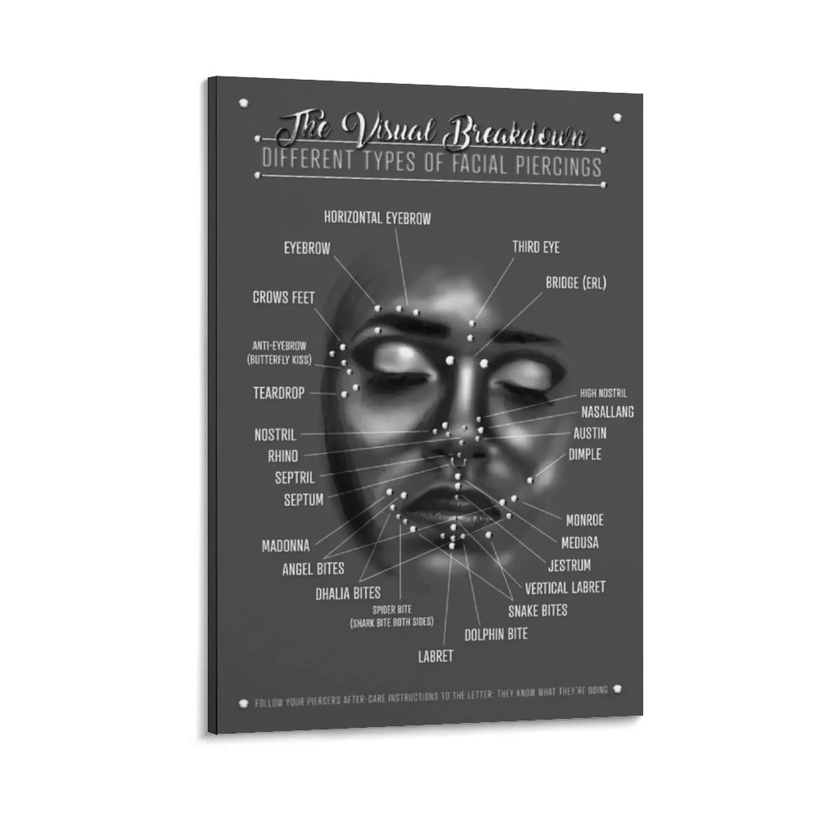 

Face Piercing Chart, Black and White Canvas Painting Wall decoration frame poster aesthetic korean room decor