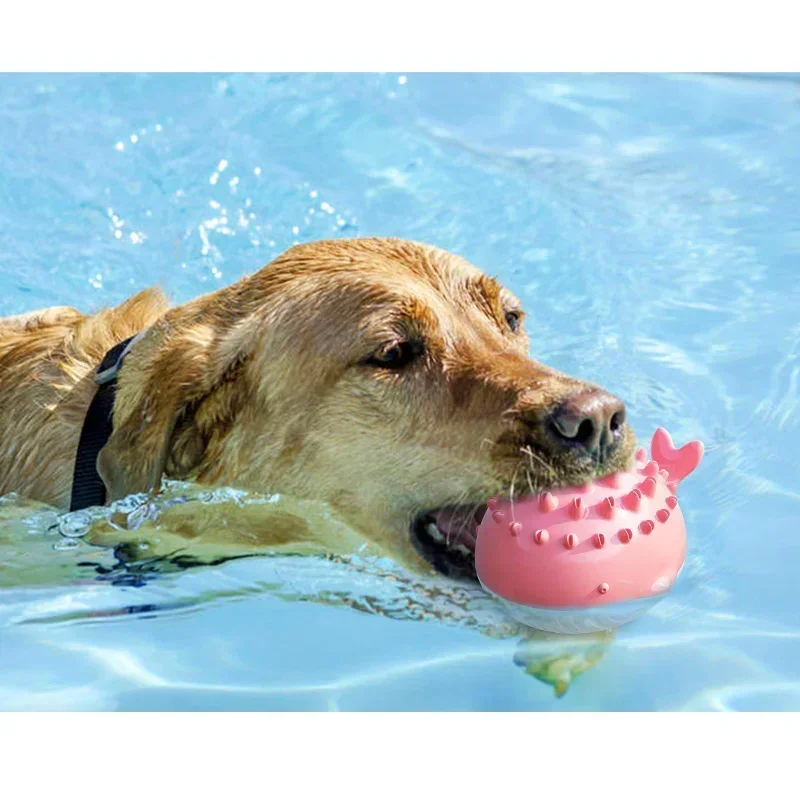 Floating Dog Toy for Swimming Pool 2