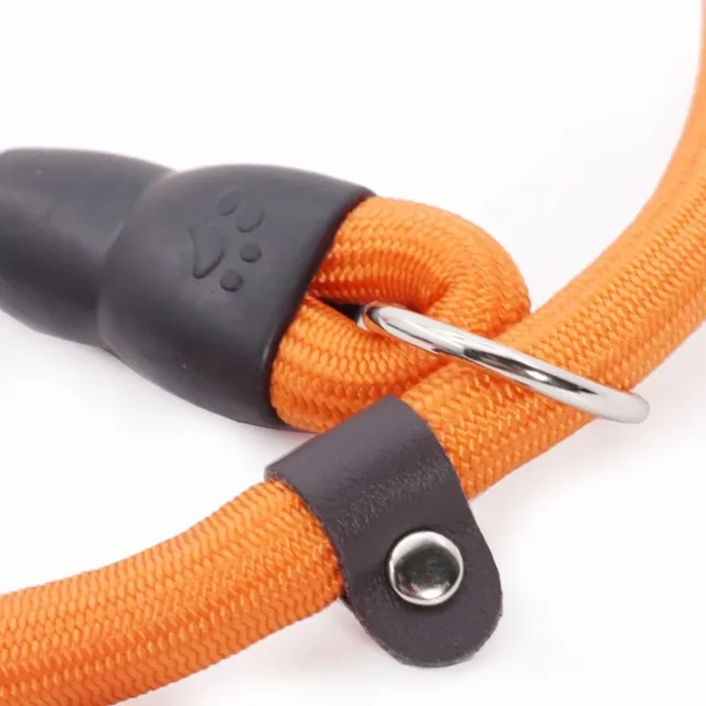 Dog Collar P Chain for Dog Walking Adjustable Dogs Collar P Rope Pet Collars Nylon Dogs Harness Puppy Training Rope Pet Supplies 4