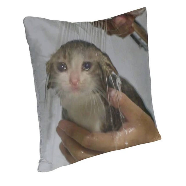 Sad Cat Shower