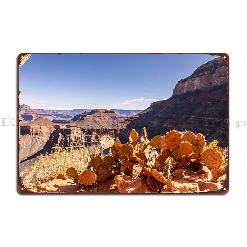 

The Cactus Metal Sign Poster Customize Plaques Designing Club Tin Sign Poster