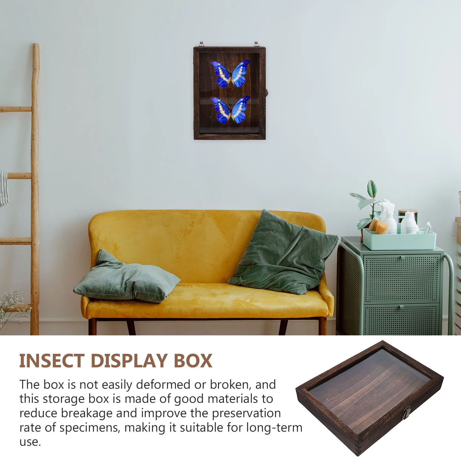 Artwork Wood Display Stand Insect Showcase Butterflies Specimen Vintage Dried Flower Storage Glass Dustproof Bug Frame photo frame wood canvas frame wood photo frame wood frame wood picture frame art frames shadow box frame display case