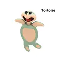 Tortoise