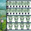 Greenhouse Drip Irrigation Watering System 4-way 3/5mm Irrigation Drip Arrow 2-way Transmitter for Pot Garden Lawn 10set/20set 6