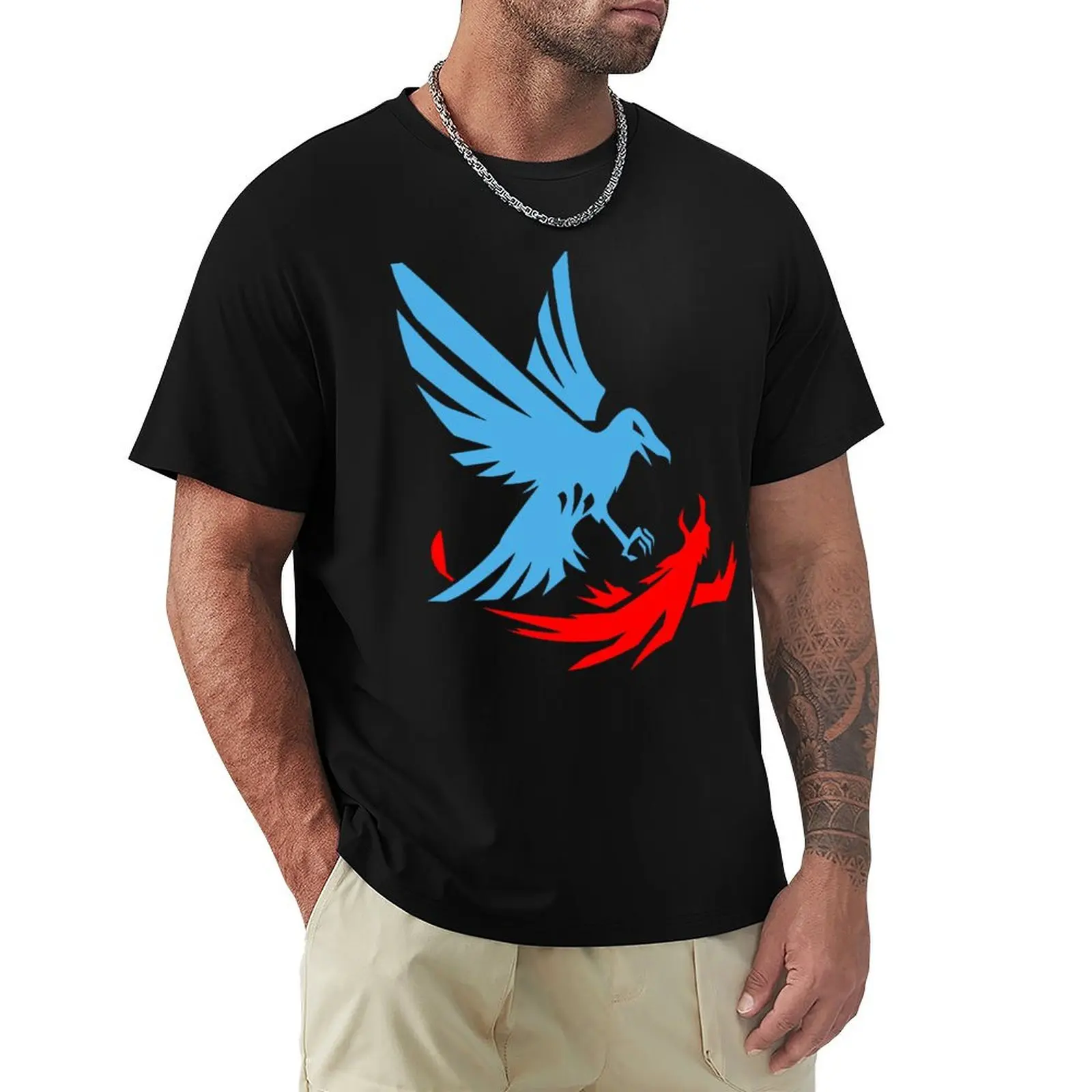 Infamous: Second Son Champion Logo T-Shirt Oversize Plus Size Top Kawaii Clothes Vintage Designer T Shirt Men