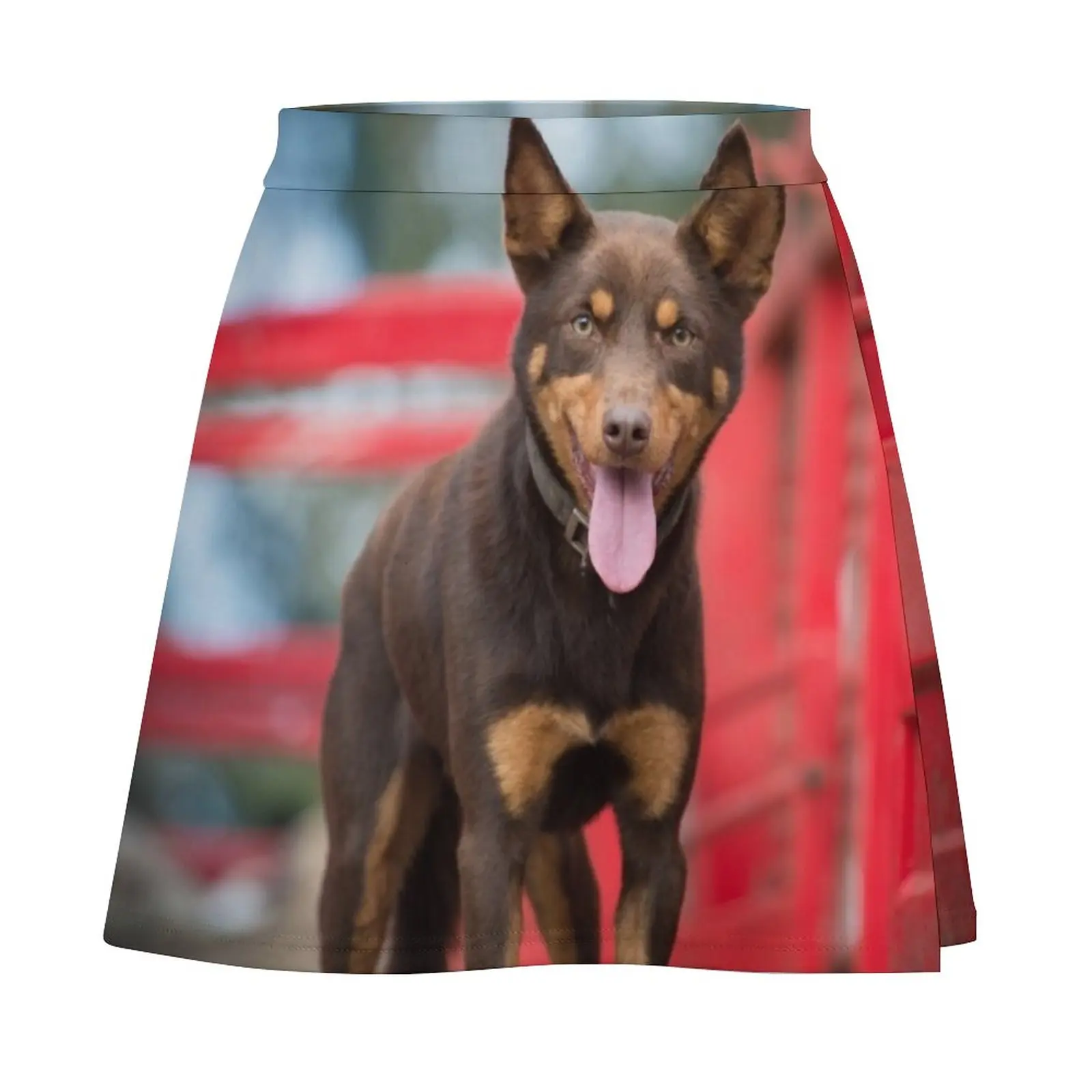 King Of The Truck Mini Skirt korean style clothing rave outfits for women womens clothing