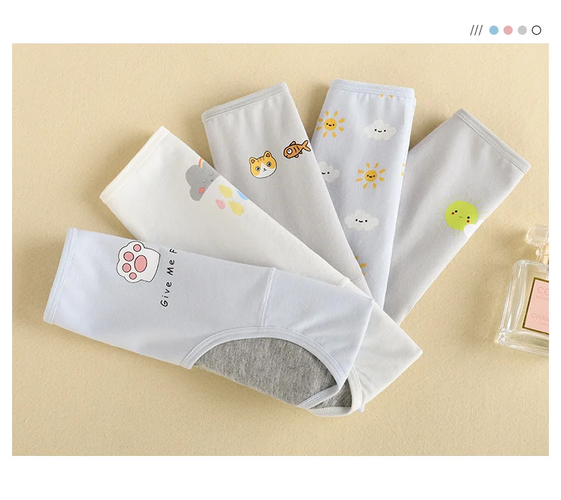 Menstrual Underwear Image 12