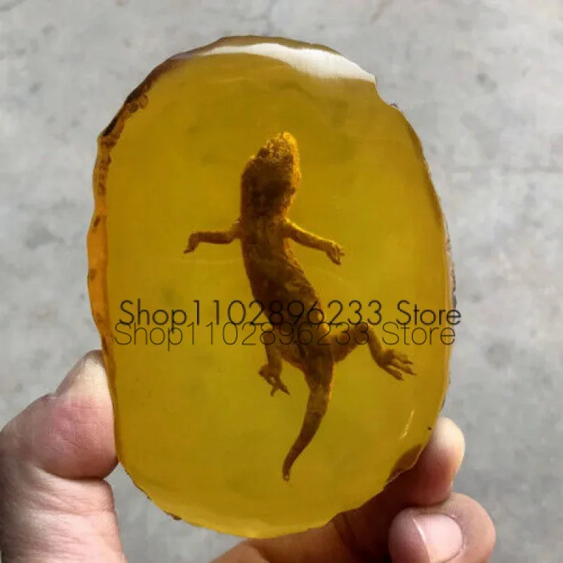 

Beautiful Amber Fossil Insects Manual Polishing Gecko Amber Ornaments
