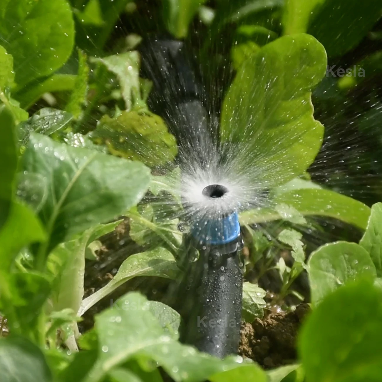 30-100pcs Adjustable Scattering Sprinklers Spraying 360 Degree Watering Dripper Home Garden Agriculture Mushroom Irrigation
