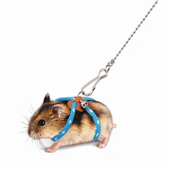 Hamster Traction Rope Go Out To Prevent Loss and Biting, and Break The Rat Walking Rope Leashes Small Animals Accessories 1pcs 1