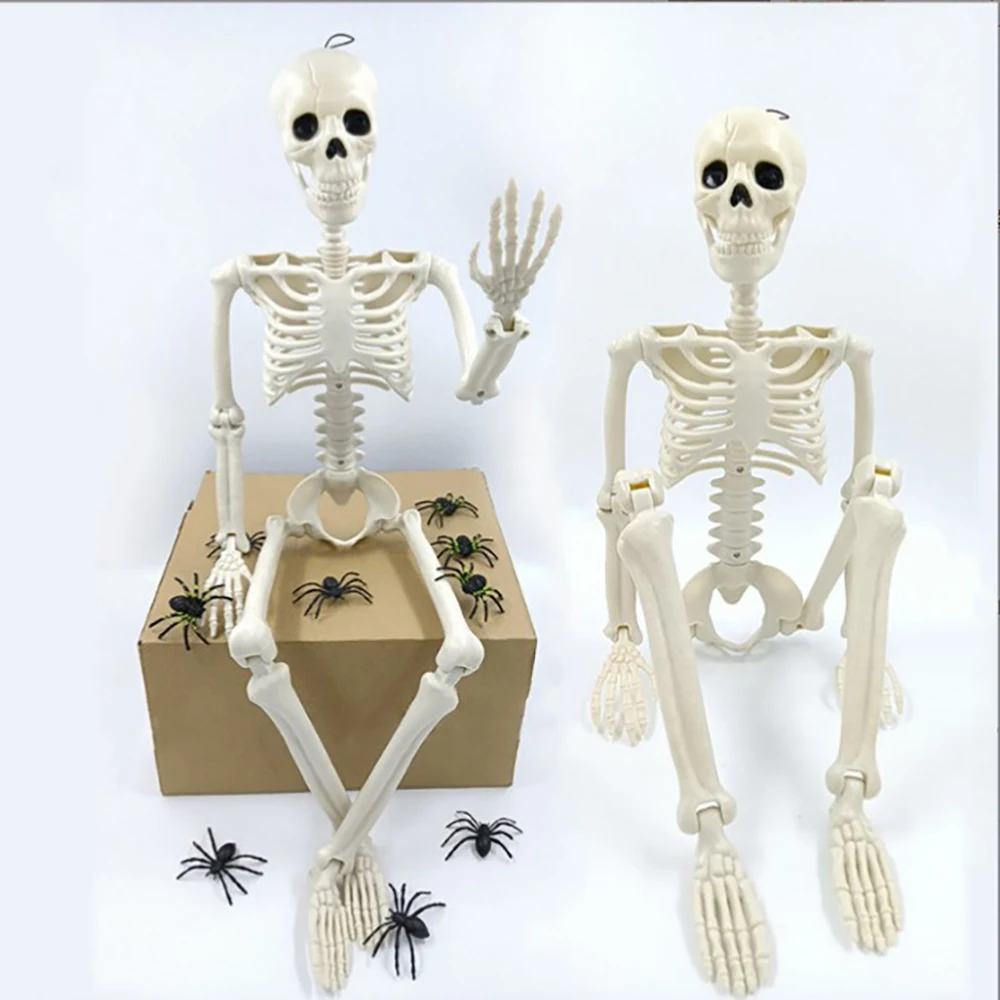 Halloween Human Shape Skeleton 4