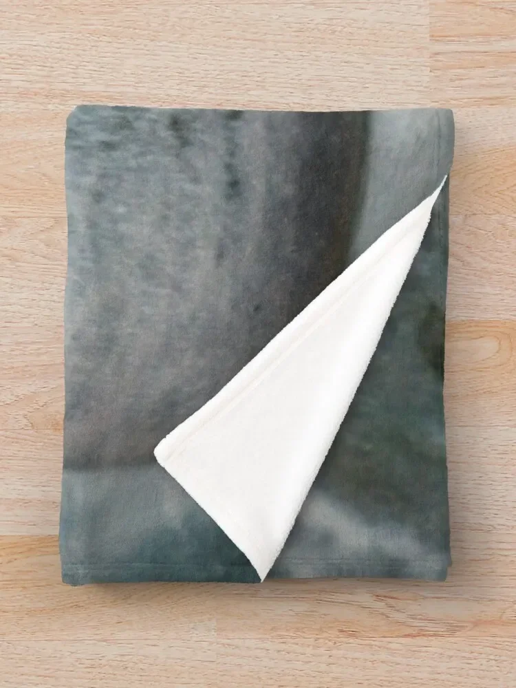 ������ ���� ���� ������ ���, ���� ħ��, ���õ� ��� ���� ��� ���