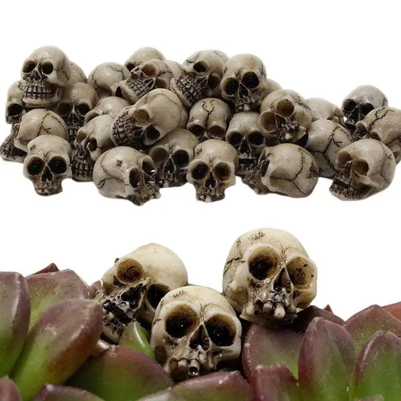 

Mini Skulls Set Skeleton Head 20 Pieces Small Mini Skulls Flowerpot Decoration Realistic Skeleton Ornament For Party Decoration
