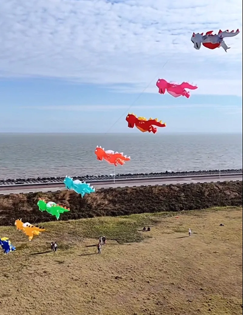 Drachendrachen Volantines o Cometas Gelblasters Riesendrachen Papagaio de Vento Praia Windsurfen Drachen fliegender Sportdrachen Vlieger – Detail 2